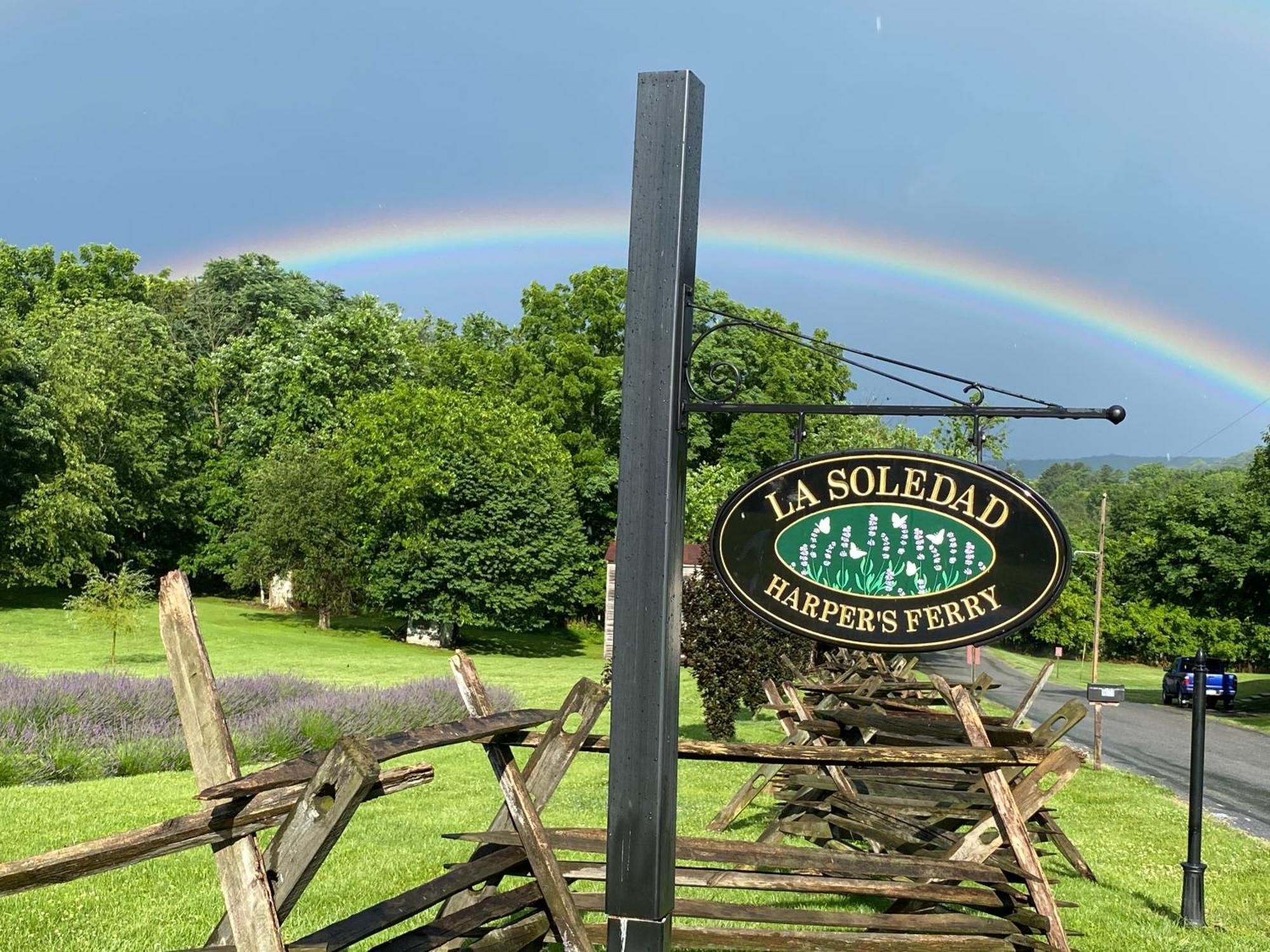 La Soledad Lavender Farm And Guesthouse Harpers Ferry Exterior foto